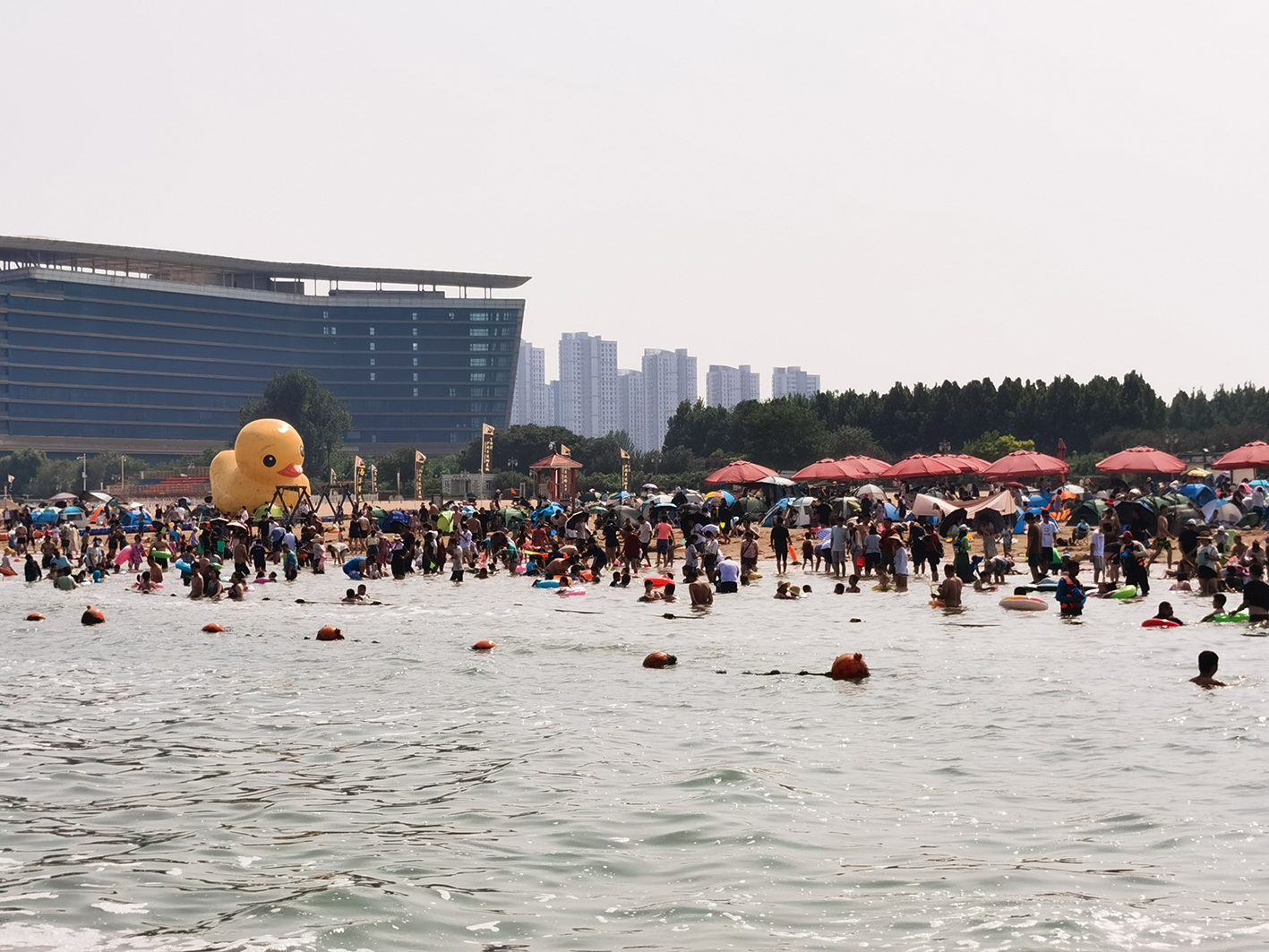 图六-0.jpg